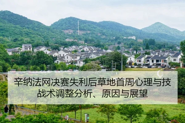 辛纳法网决赛失利后草地首周心理与技战术调整分析、原因与展望