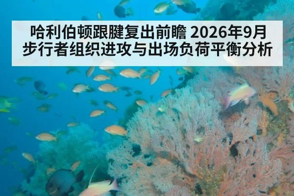 哈利伯顿跟腱复出前瞻 2026年9月步行者组织进攻与出场负荷平衡分析