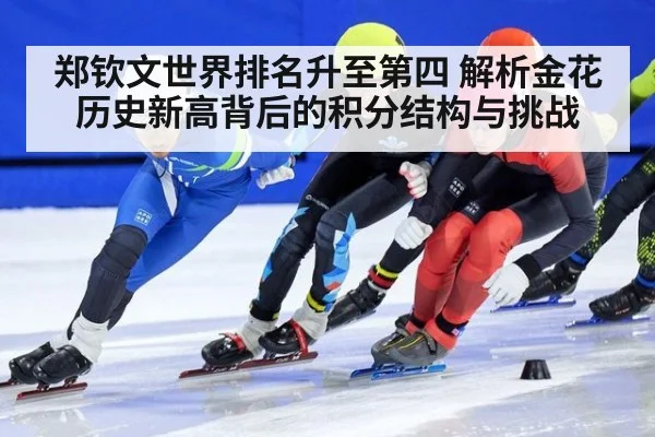 郑钦文世界排名升至第四 解析金花历史新高背后的积分结构与挑战